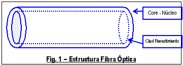 Estructurta de la fibra óptica
