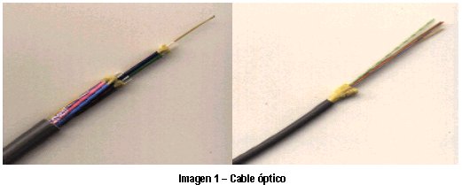 Fig-1